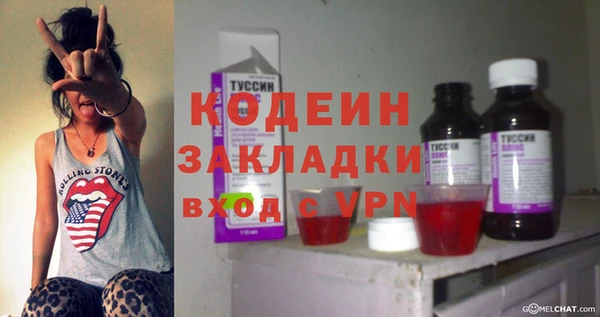прущие грибы Покачи