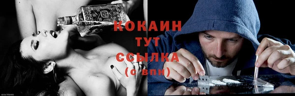 прущие грибы Покачи