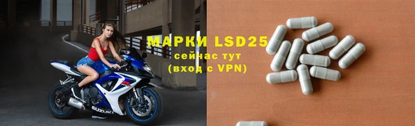 прущие грибы Покачи