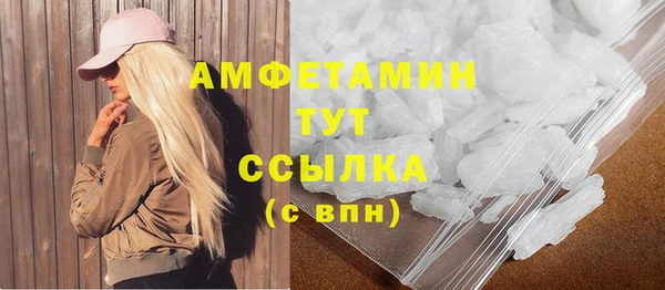 гидра Вязьма