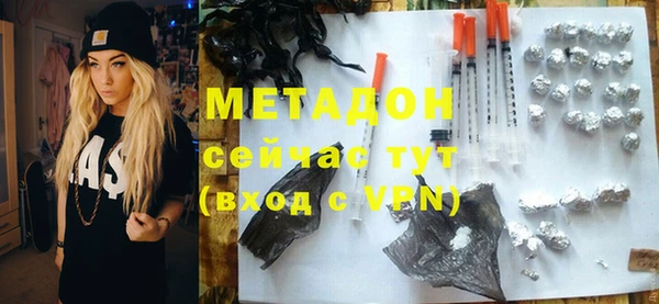 прущие грибы Покачи