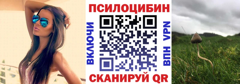 Галлюциногенные грибы Psilocybe  Безенчук 